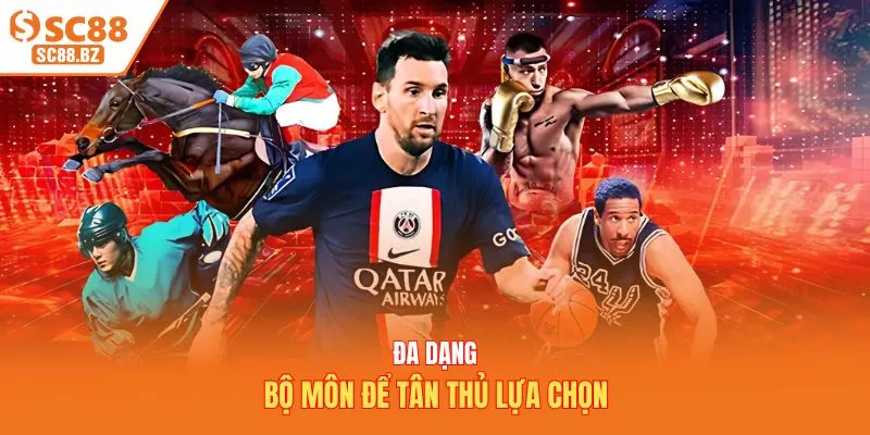 Đa dạng bộ môn để tân thủ lựa chọn